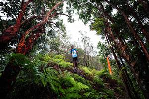 BIB: 
                            <button type="button" onclick="openModal(26201552)" class="btn btn-primary btn-sm float-right btn-popup" data-toggle="modal" data-target=".modal-high-quality">
                        <i class="fas fa-shopping-cart"></i> Add to Cart
                    </button>
                                            <button type="button" onclick="isThisMe(26201552, true)" class="btn btn-success btn-sm float-right btn-popup btn-isme hidden" data-toggle="tooltip" data-placement="bottom" title="นี่คือรูปของคุณใช่ไหม คลิกที่นี่เพื่อเอาเข้าอัลบั้ม">
                        <i class="fas fa-plus"></i> Add to album
                    </button>
                    <button type="button" onclick="isThisMe(26201552, false)" class="btn btn-warning btn-sm float-right btn-popup btn-isnotme hidden">
                        <i class="fas fa-ban"></i> Remove from album
                    </button>